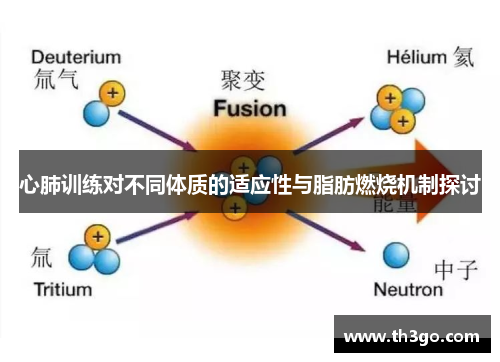 心肺训练对不同体质的适应性与脂肪燃烧机制探讨
